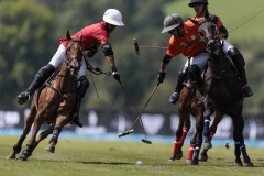 Polo Gold Cup 2024.